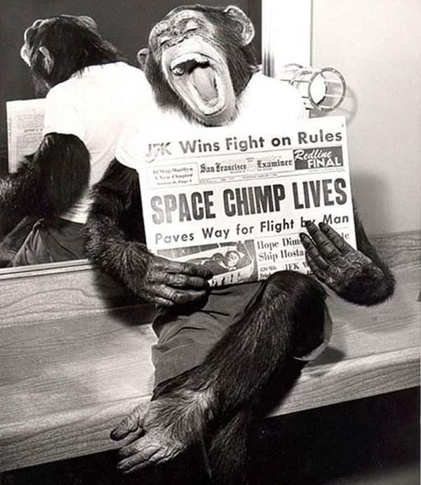 Con tinh tinh chụp một bức ảnh sau khi thực hiện sứ mệnh thành công vào năm 1961