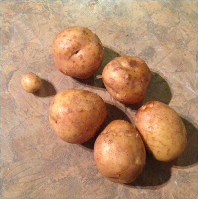   Tôi dặn chồng đi mua 6 củ khoai tây, và anh mang về như này  