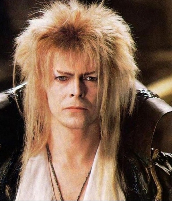 David Bowie đã dùng stylist và tủ quần áo riêng của mình khi quay phim The Labyrinth. Anh chàng không cần hỗ trợ trang phục từ đoàn làm phim, đây quả là sự đầu tư không hề nhẹ nhàng