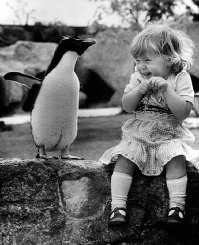 Một cô bé gặp chú chim cánh cụt lần đầu tiên