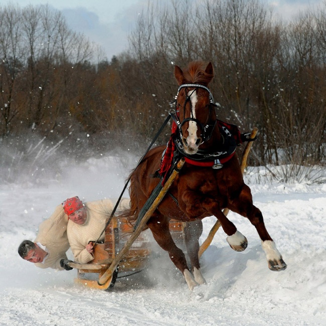 Một giây sau khi con ngựa hiểu nó không phải là ông già Noel