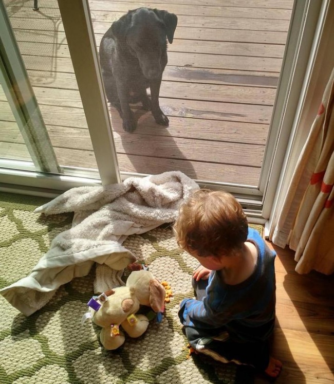 Con trai tôi nuôi chó đồ chơi của mình với bánh quy trong khi con chó thật của thằng bé đang ngồi buồn bã phía sau cửa sổ.