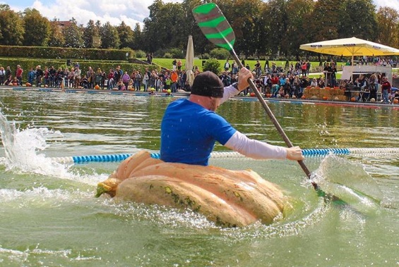 Ở Đức, có cuộc đua truyền thống bằng bí ngô. Người ta sẽ chon quả bí to nhất, khoét ruột làm thành thuyền để bơi