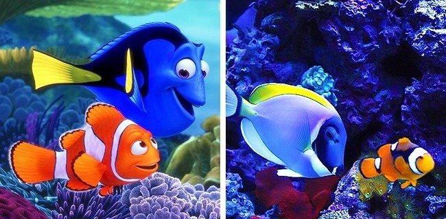 Marlin và Dory (Finding Nemo)