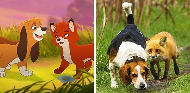 Tod và Copper (The Fox và Hound)