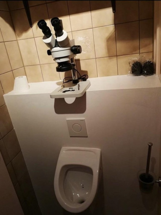   Nhà vệ sinh mang đến nhiều lo lắng  