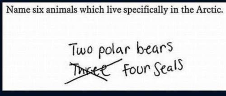 six-animals-that-live-in-the-arctic_test-answers