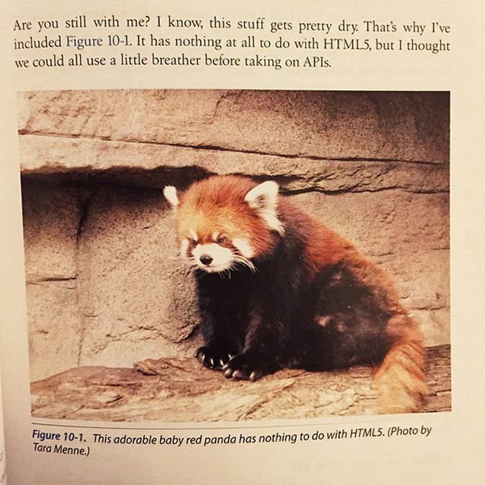 the-most-hilarious-things-students-have-ever-found-in-textbooks-13
