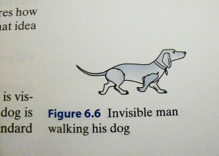 the-most-hilarious-things-students-have-ever-found-in-textbooks-22