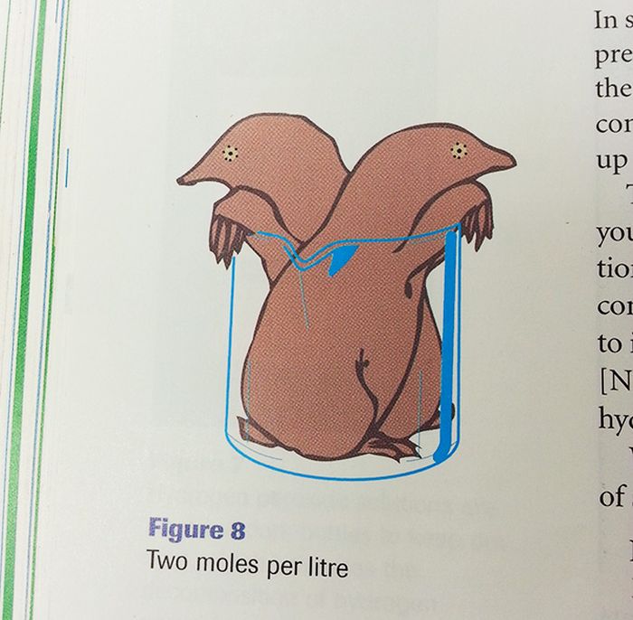 the-most-hilarious-things-students-have-ever-found-in-textbooks-23