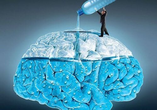 Bộ não rất cần nước  
