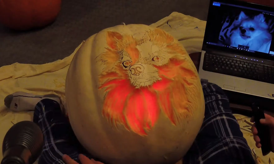 My-pumpkin-carvings-over-