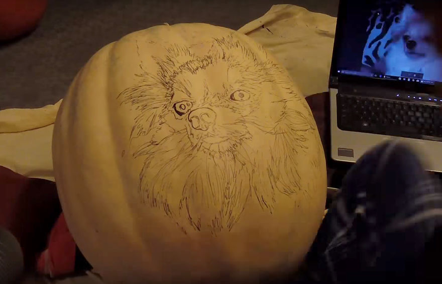 My-pumpkin-carvings-over-