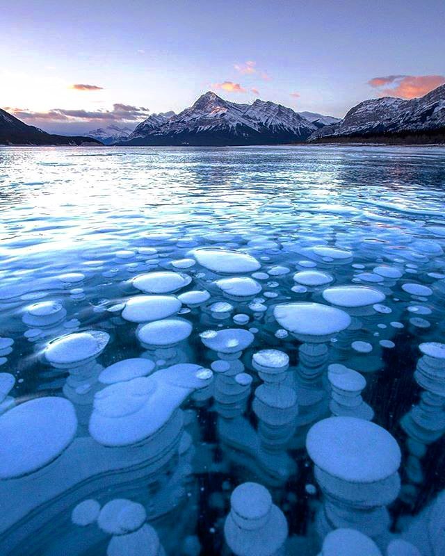 Bong bóng khí metan bị đóng băng dưới mặt hồ tại Canada