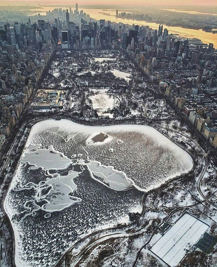 Công viên Trung tâm tại New York bao phủ bởi màu trắng 