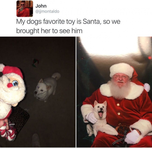 'Chú chó của tôi rất thích món đồ chơi là Ông già Noel nhồi bông, nên chúng tôi đã mang nó đi gặp Ông ấy'