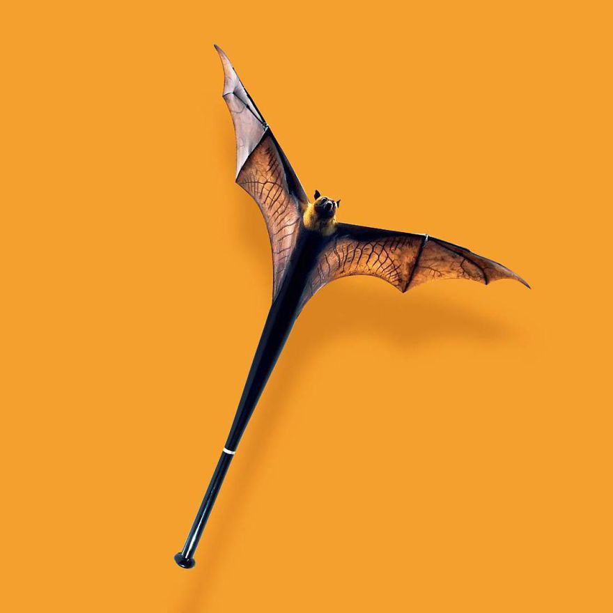 'Bat' vừa có nghĩa là 'con dơi', vừa có nghĩa là 'cây gậy đánh bóng chày'