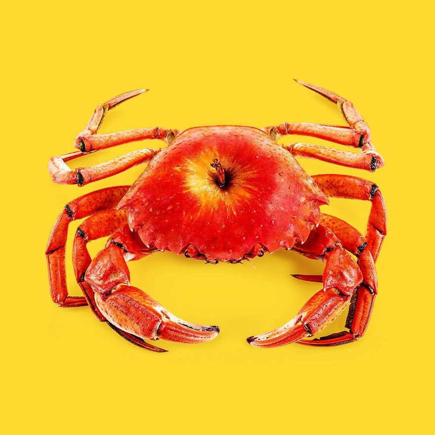Sự kết hợp giữa cua (crab) và táo (apple) tạo thành crabapple (táo dại)