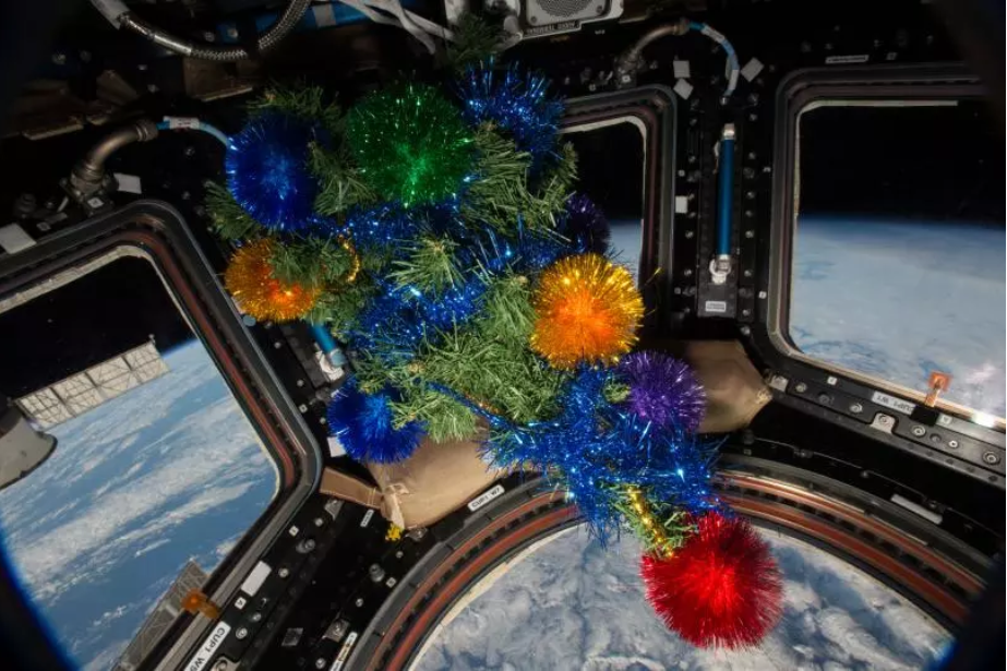 Cây Giáng sinh được treo trên vòm Cupola năm 2015. Ảnh: NASA
