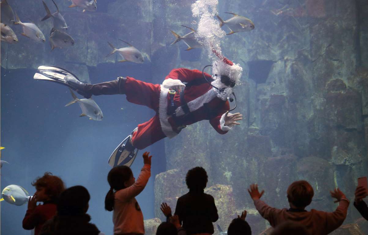 Paris, Pháp: Những đứa trẻ ngắm Ông già Noel lặn trong bể cá ở công viên thủy sinh
