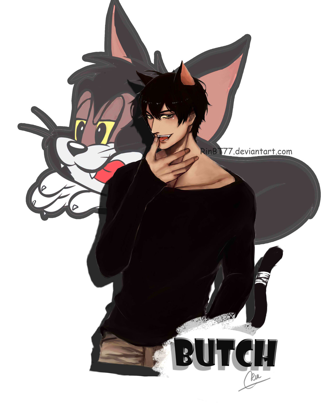 Anh chàng mèo hoang Butch 