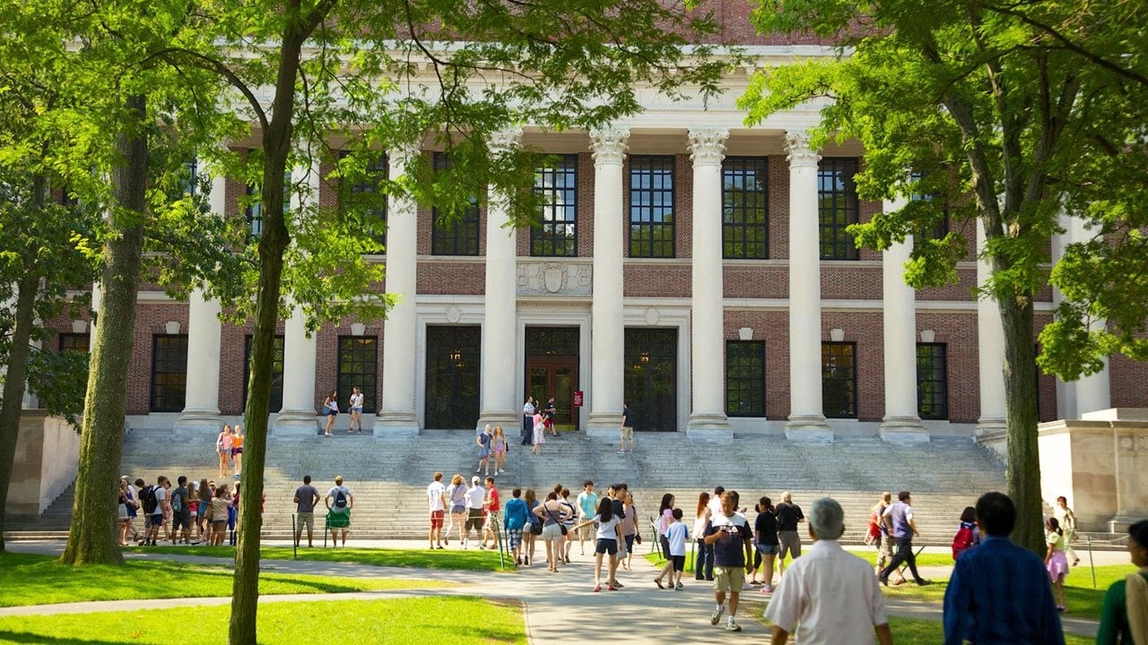 Kinh nghiệm vàng và bí quyết săn học bổng để bước vào cánh cổng Đại học Harvard 7
