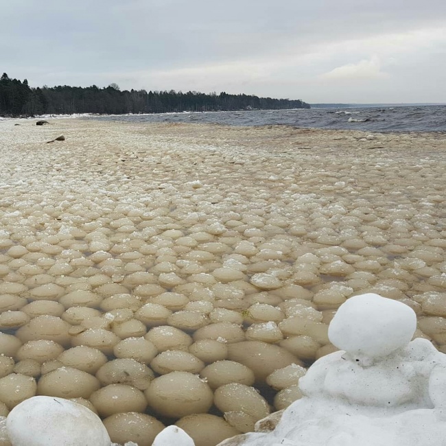 Những trái cầu băng ở Vịnh Phần Lan