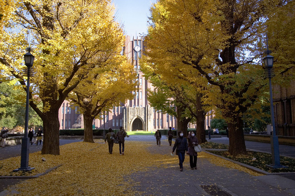   Đại học Tokyo cơ sở Hongo  