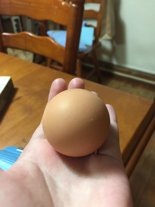 Một quả trứng tròn xoe