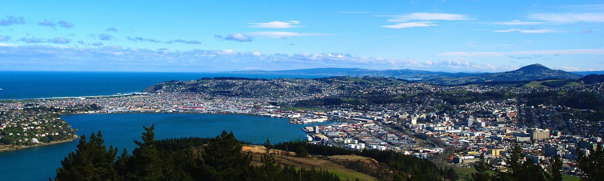 Các thành phố tốt nhất để du học tại New Zealand 4