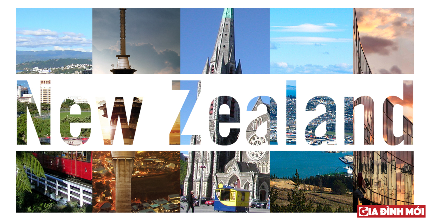 Các thành phố tốt nhất để du học tại New Zealand 0