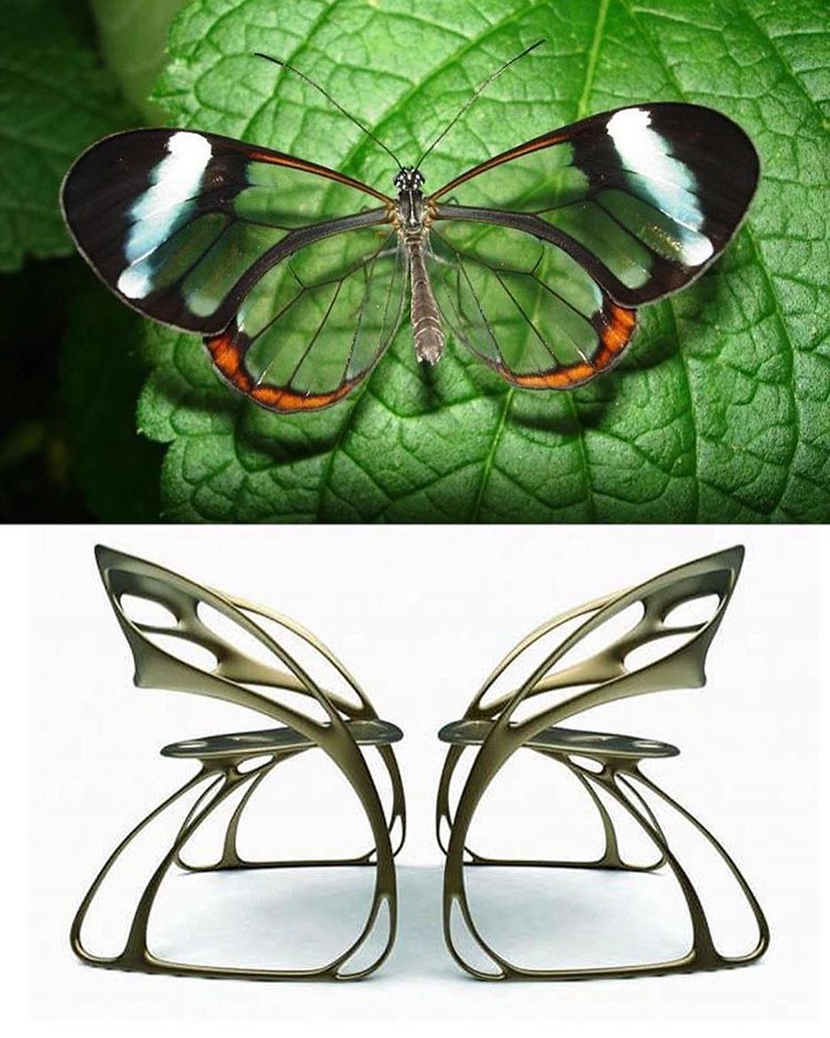 Bộ ghế hình cánh bướm