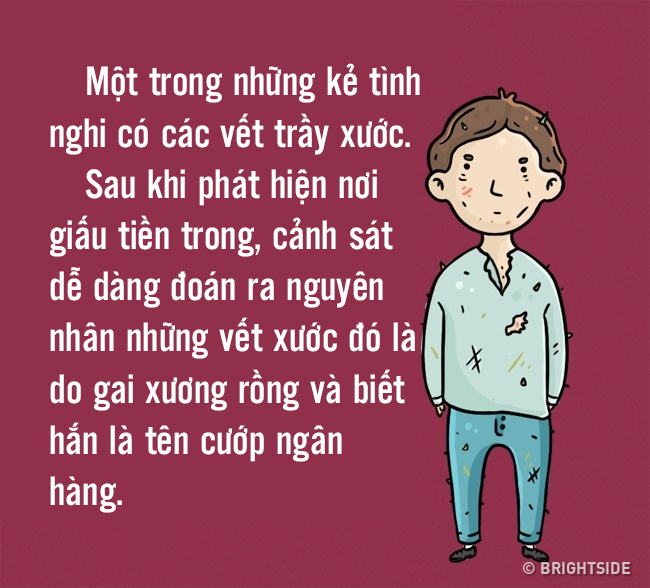 cau do 5 ke tinh nghi 2