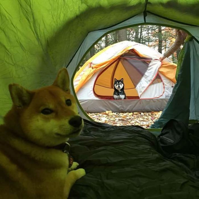 Cùng bồ đi cắm trại