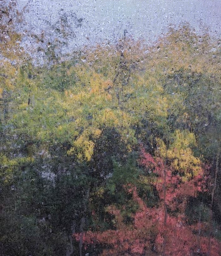 Một tấm màn và trời mưa khiến phong cảnh phía sau nhìn như một bức tranh