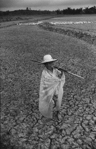 Cậu bé trên cánh đồng khô nứt nẻ. (Ảnh: Ferdinando Scianna/ Magnum Photos)