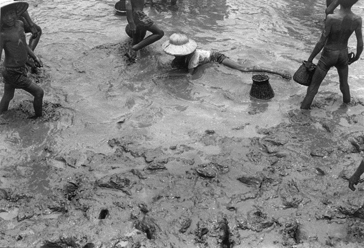 Trẻ em nông thôn mò cá ở một mương thủy lợi vừa rút cạn nước. (Ảnh: Ferdinando Scianna/ Magnum Photos)