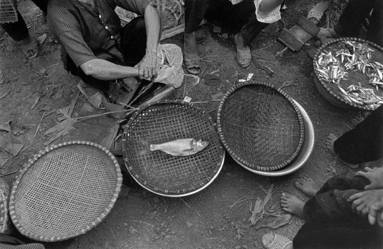 Hàng cá ở chợ. (Ảnh: Ferdinando Scianna/ Magnum Photos)