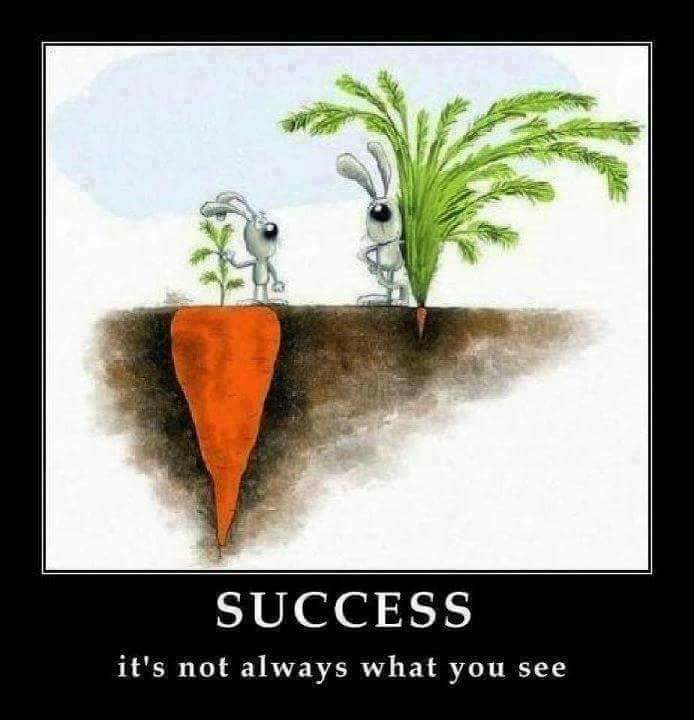 Thành công không phải lúc nào cũng như bề ngoài mà bạn nhìn thấy