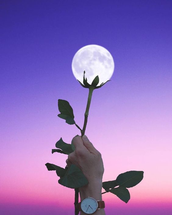 Chụp ảnh đêm trăng tròn sao cho lãng mạn?