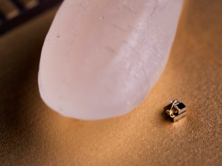 Máy tính nhỏ nhất thế giới “tí hon” khi đứng cạnh một hạt gạo