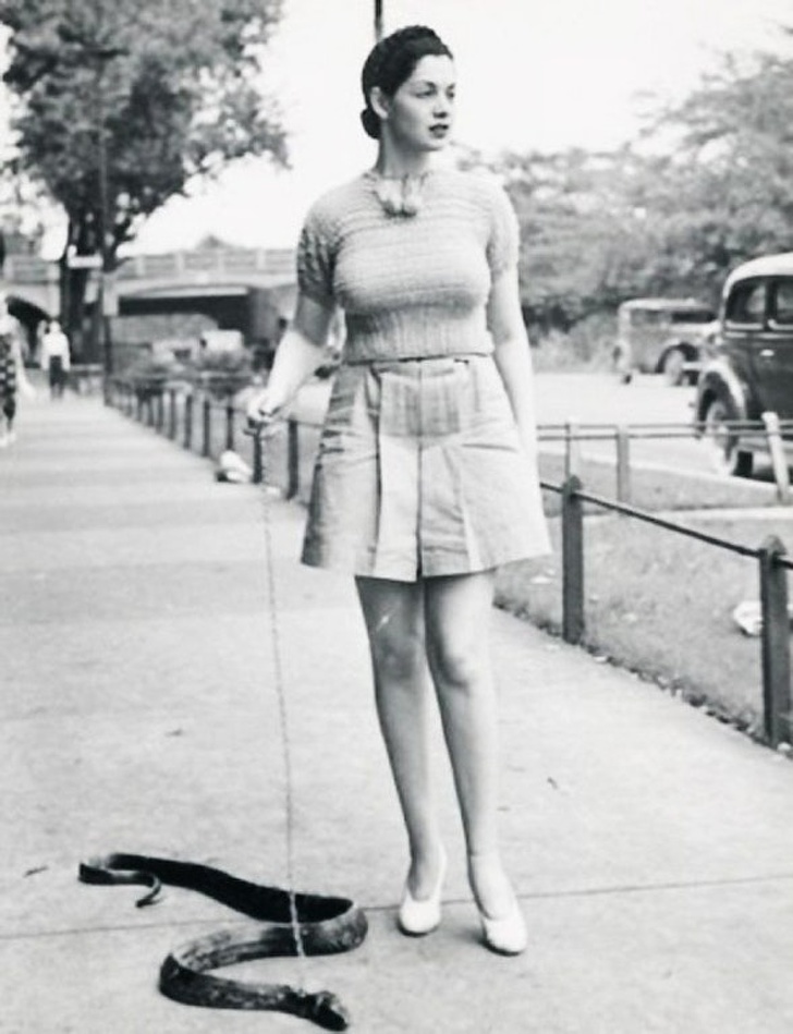 Một vũ nữ tên Zorita đi dạo cùng con rắn thú cưng