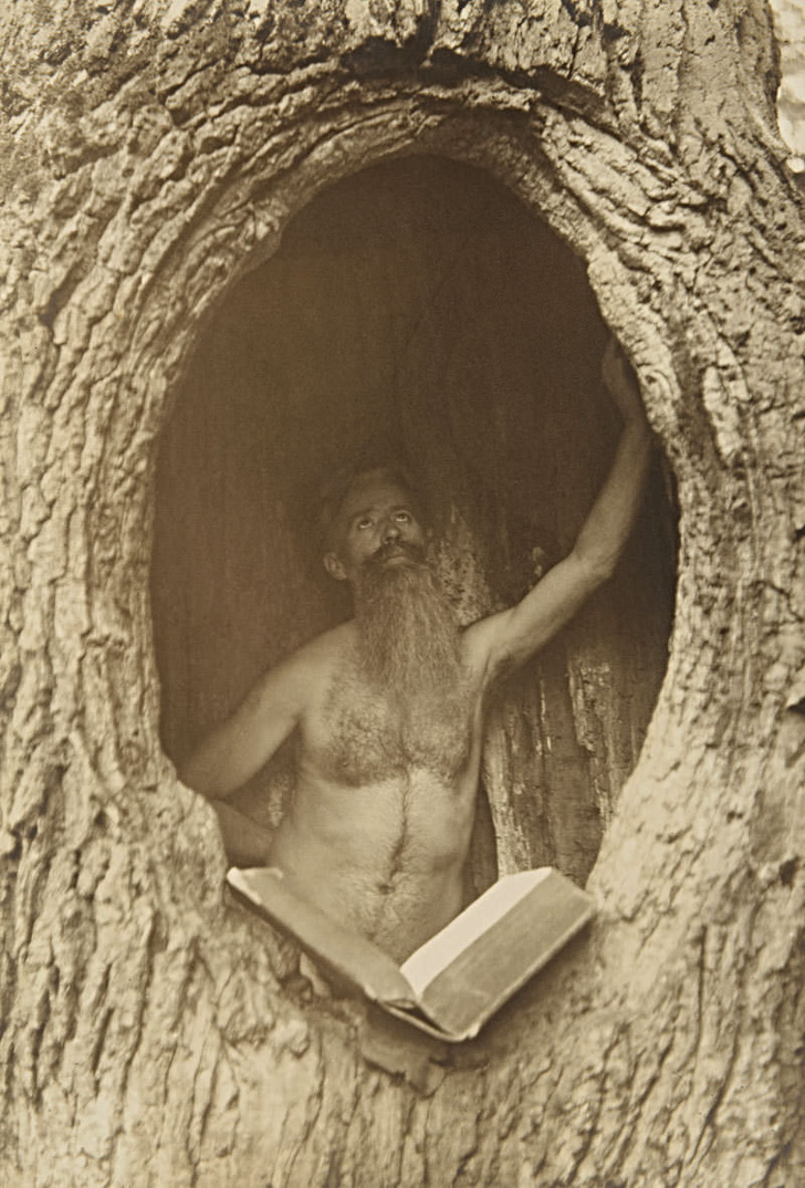 Một người đàn ông đọc sách trong hốc cây, Úc, 1900