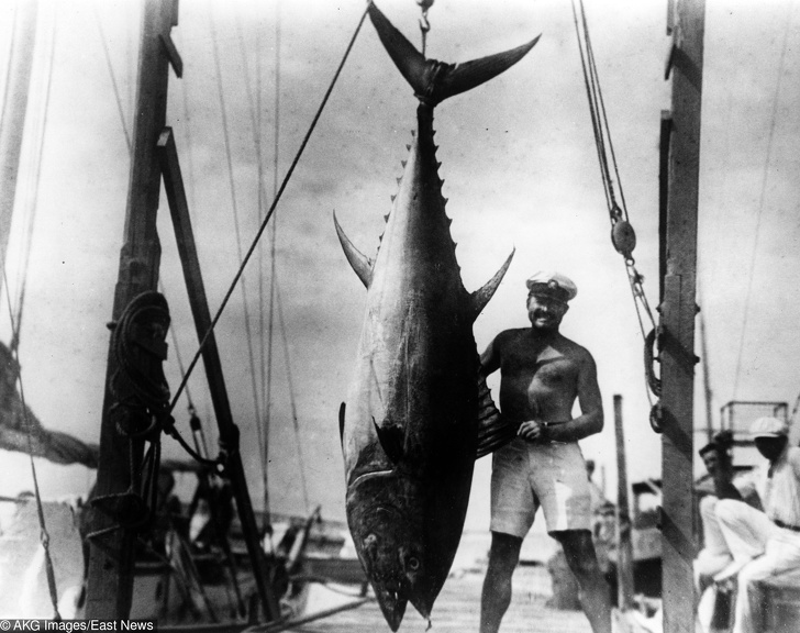 1935 - Hemingway bắt được một con cá ngừ đại dương