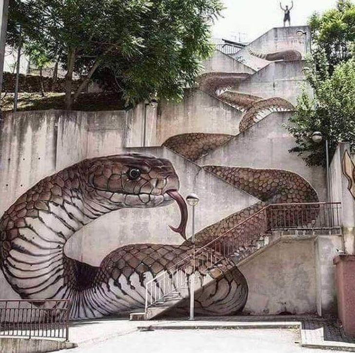 Một chú rắn như thật khiến người qua đường không khỏi giật mình - Guarda, Bồ Đào Nha