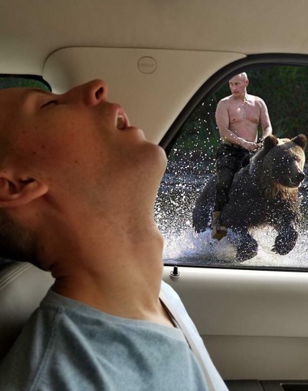 Suýt nữa cậu đã được chứng kiến cảnh Tổng thống Nga Putin cưỡi gấu đấy! Cậu đã thấy tiếc vì ngủ gật chưa?