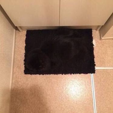 Bạn nghĩ đây là một tấm thảm đen ư?