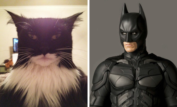 Batman và Batcat đã sẵn sàng đi giải cứu Trái Đất
