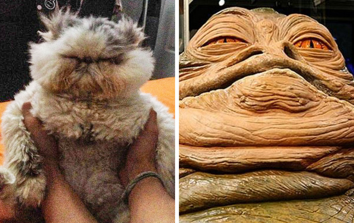 Jabba (Chiến tranh giữa các vì sao) phiên bản có lông