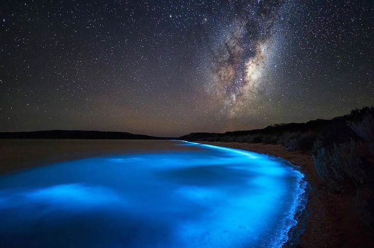 Vịnh phát quang sinh học ở bán đảo South Arm, Tasmania, Australia